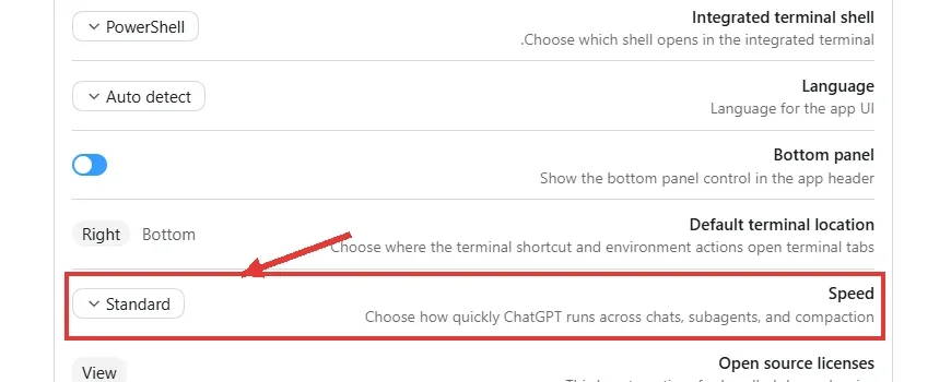 ההגדרה Speed במסך Settings ← General, מסומנת בריבוע אדום