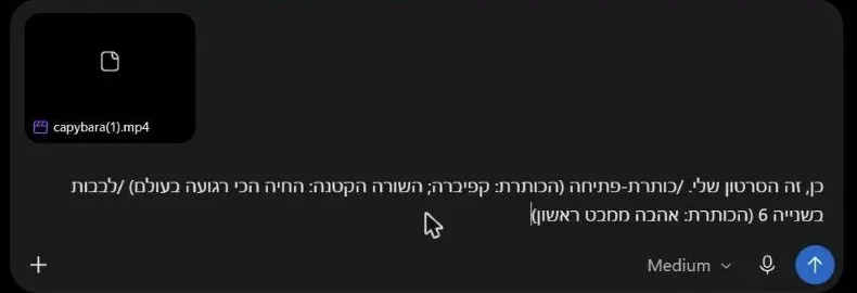 מעלים סרטון וכותבים את הקודים