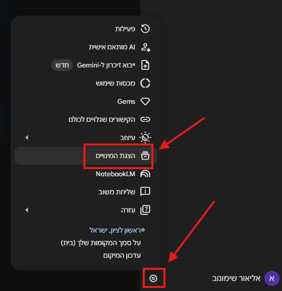 מסך ההגדרות של Gemini עם האפשרות הצגת מינויים