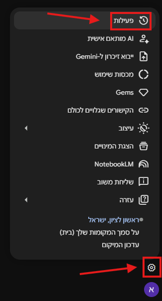 מסך פעילות בהגדרות Gemini