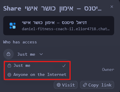 בחירת רמת הגישה לאתר